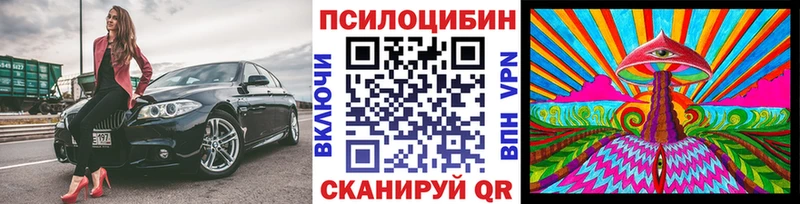 Галлюциногенные грибы Magic Shrooms  цена наркотик  Копейск 